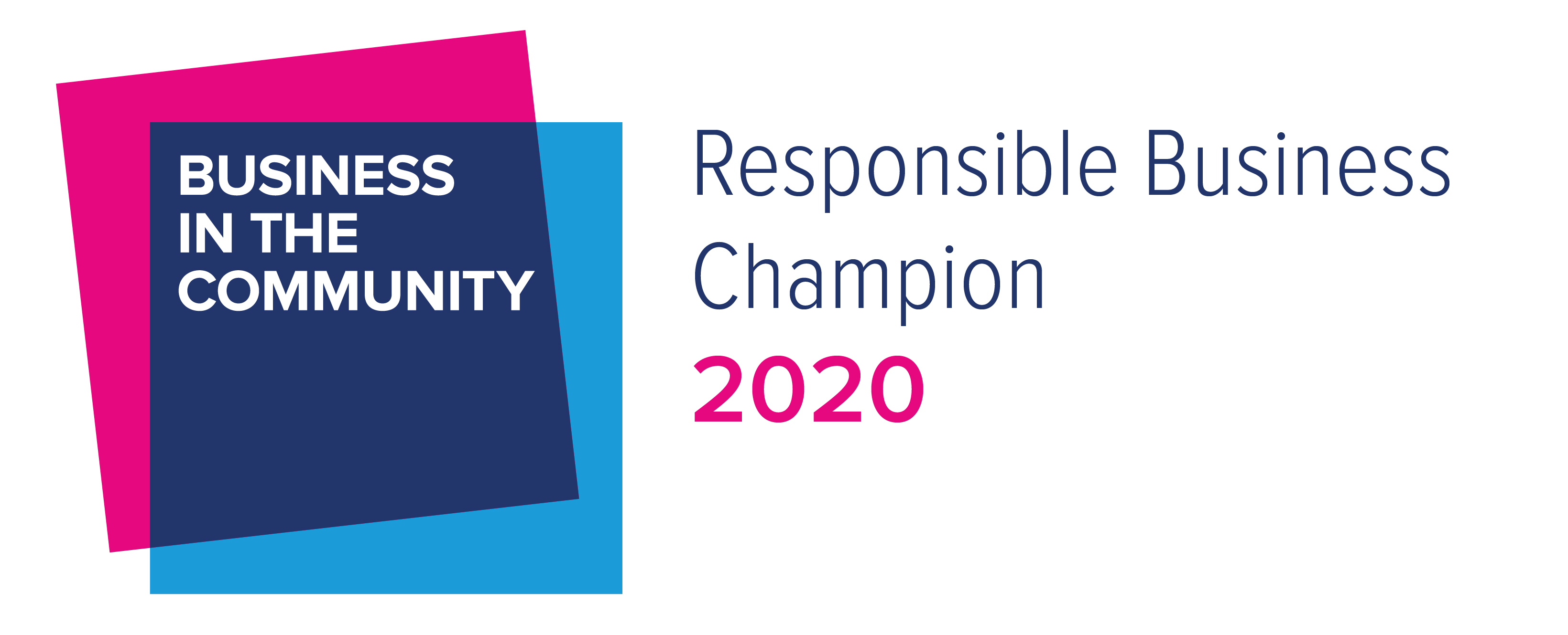 Responsible Business Champion 2020 image